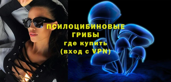 ПСИЛОЦИБИНОВЫЕ ГРИБЫ Верхнеуральск