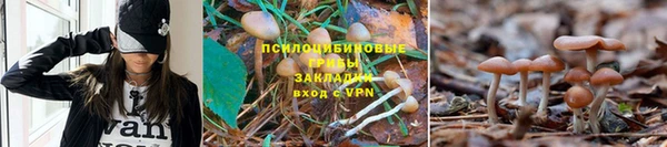 марки nbome Верея