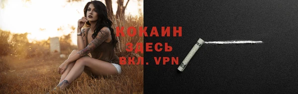 сатива Верхний Тагил