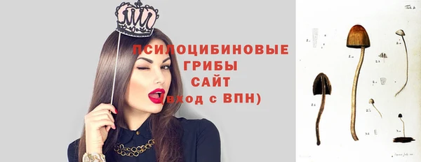 сатива Верхний Тагил