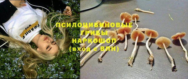 сатива Верхний Тагил
