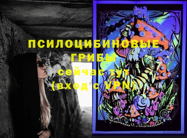 сатива Верхний Тагил