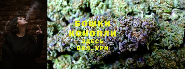 ПСИЛОЦИБИНОВЫЕ ГРИБЫ Верхнеуральск