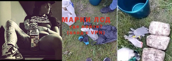 ПСИЛОЦИБИНОВЫЕ ГРИБЫ Верхнеуральск