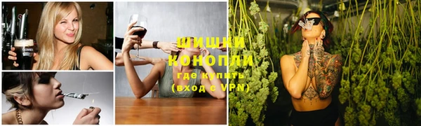 сатива Верхний Тагил