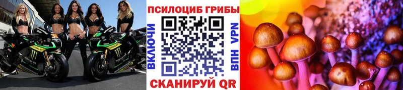 магазин    Юхнов  Галлюциногенные грибы мухоморы 